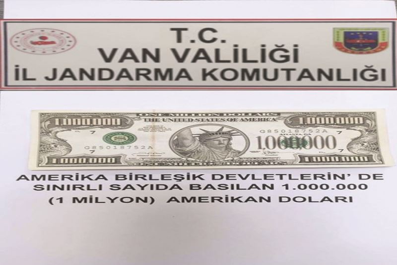 Gürpınar’da 1 milyon dolarlık banknot ele geçirildi