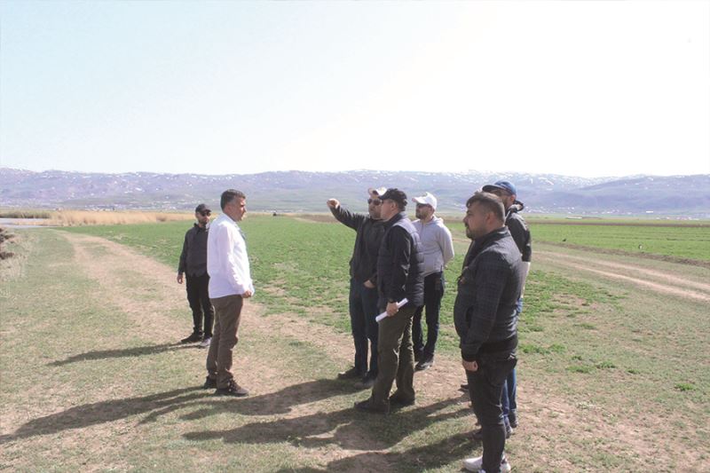 Van Gölü