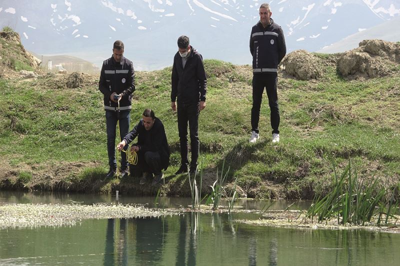 Van Gölü’nün inci kefalleri göç hazırlığında