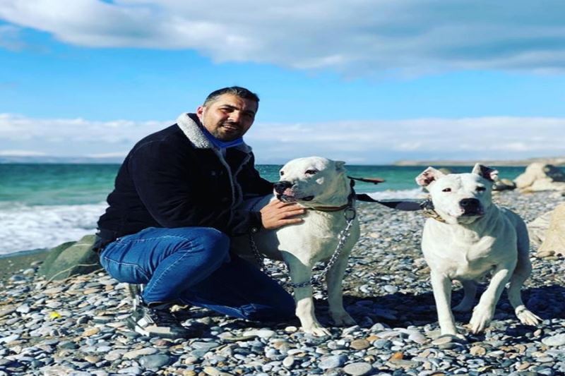 Van’da spor salonu bahçesinden çalınan Dogo Argentino ırkı iki köpek saatler sonra ölü bulundu