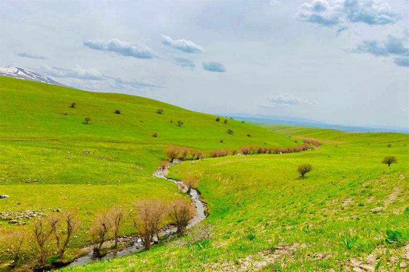 Ağrı’da yeniden canlanan doğa büyülüyor