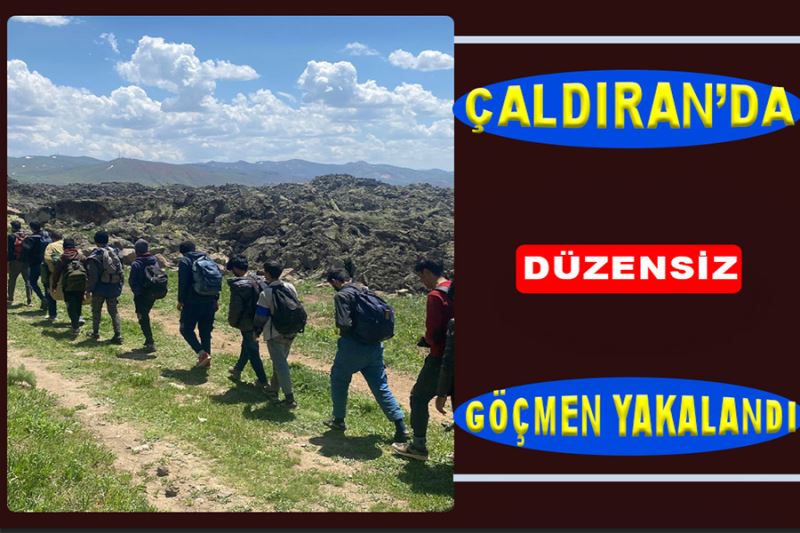 Çaldıran’da 15 düzensiz göçmen yakalandı