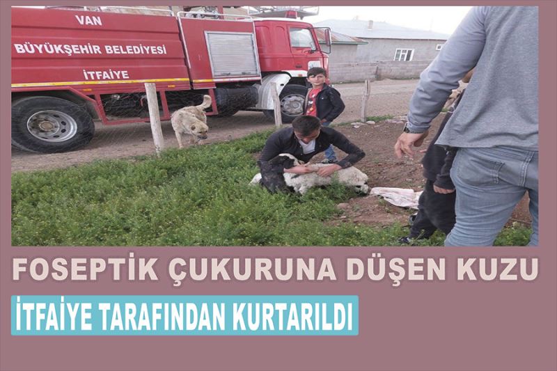 Foseptik çukuruna düşen kuzu itfaiye tarafından kurtarıldı