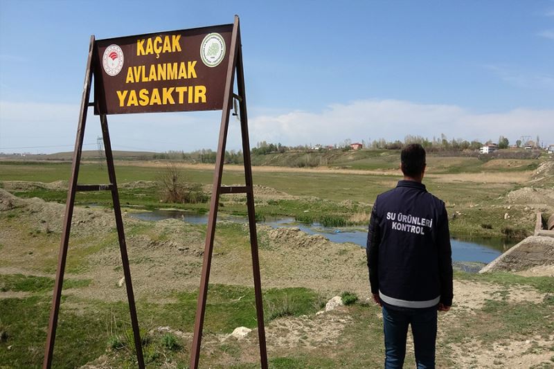 İnci kefalinin korunması için geceli gündüzlü denetim