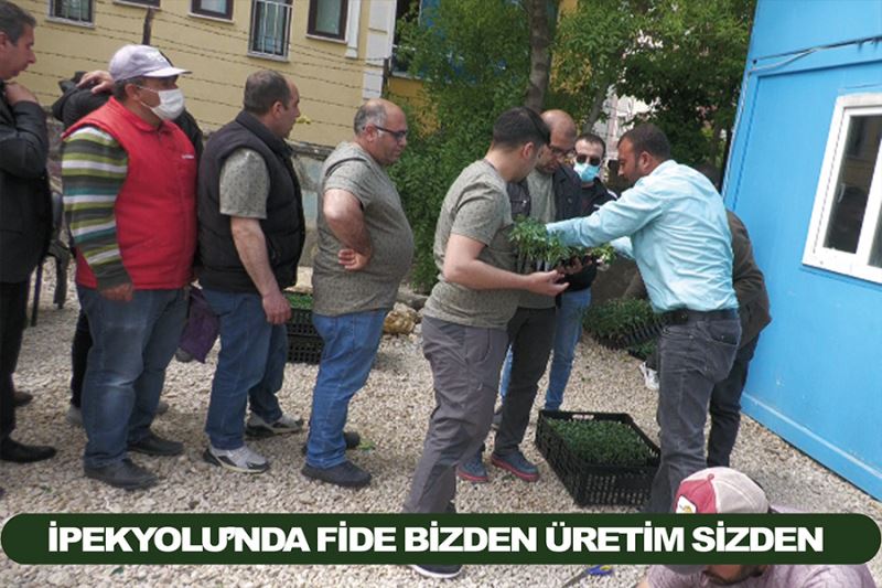 İpekyolu’nda fide bizden üretim sizden