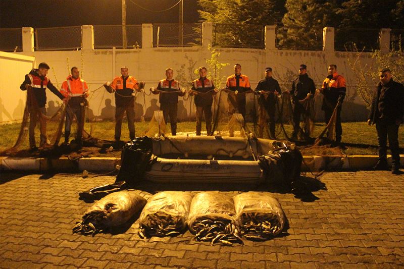 Jandarma Van’da kaçak avlanan 3 ton canlı inci kefali ele geçirdi
