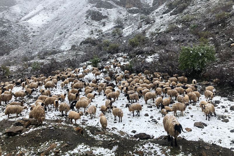 Mayıs ayında kar sürprizi