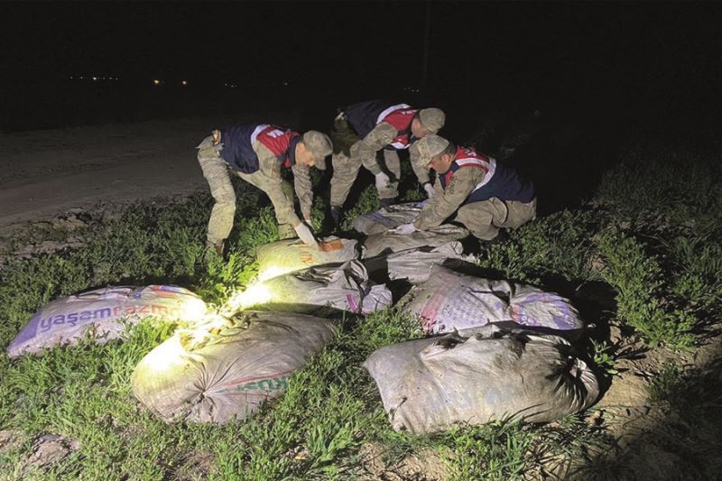 Muradiye’de kaçak avlanmış 6,5 ton balık ele geçirildi