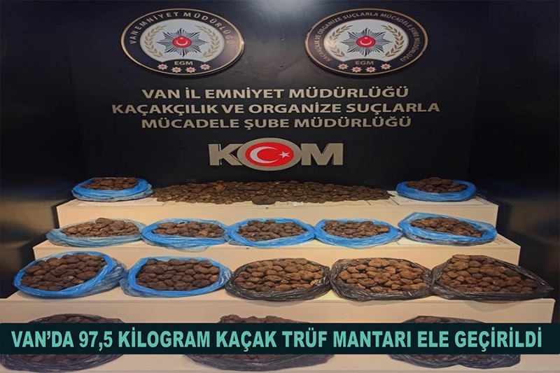 Van’da 97,5 kilogram kaçak trüf mantarı ele geçirildi