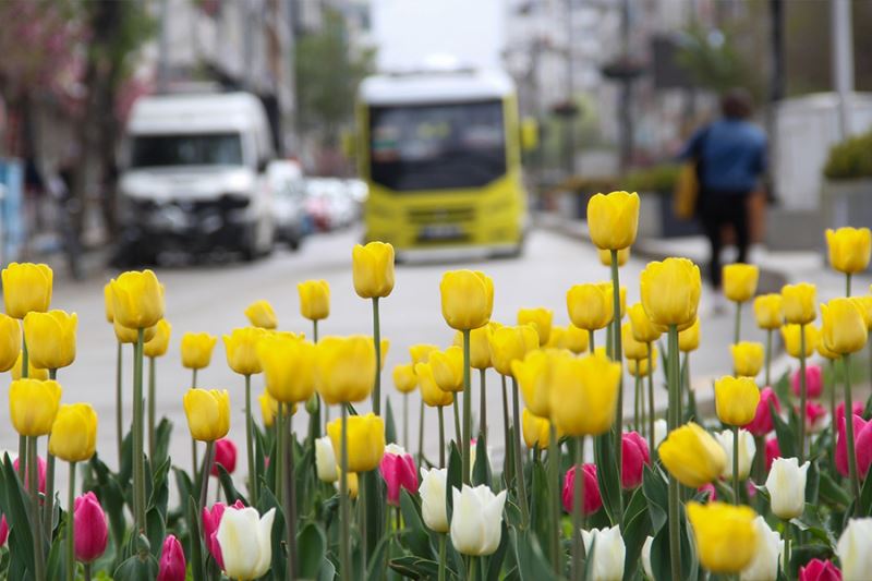 Van’da caddeler ve parklar rengarenk oldu