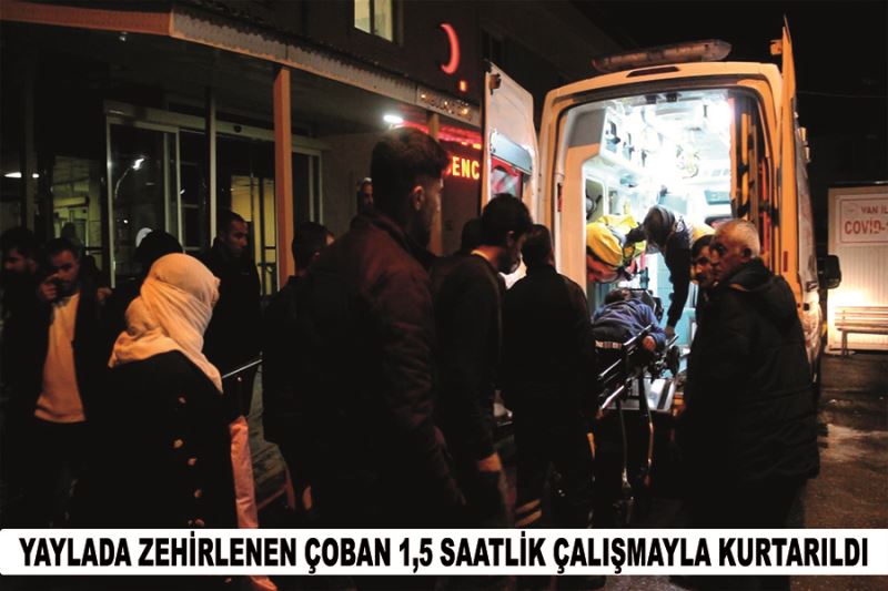 Yaylada zehirlenen çoban 1,5 saatlik çalışmayla kurtarıldı