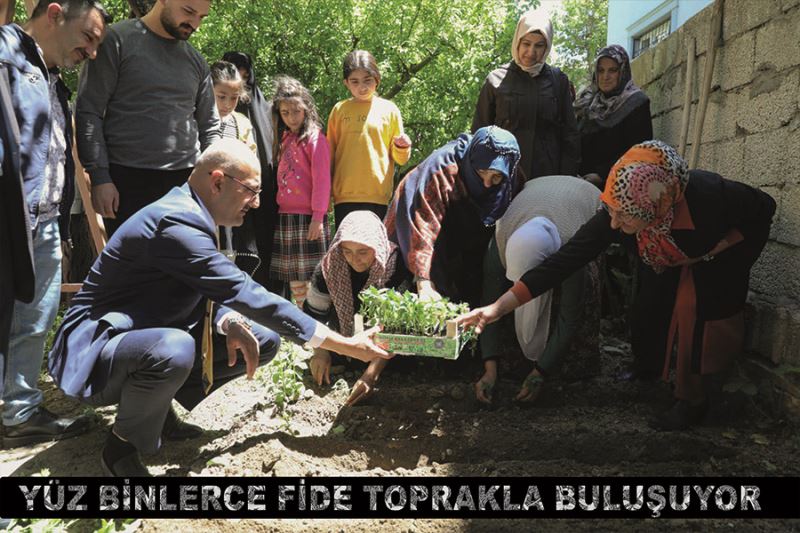 Yüz Binlerce Fide Toprakla Buluşuyor