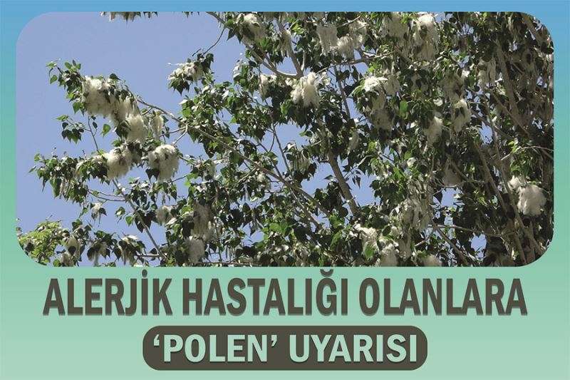 Alerjik hastalığı olanlara ‘polen’ uyarısı