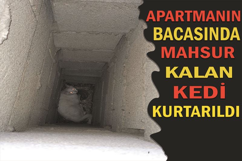 Apartmanın bacasında mahsur kalan kedi kurtarıldı