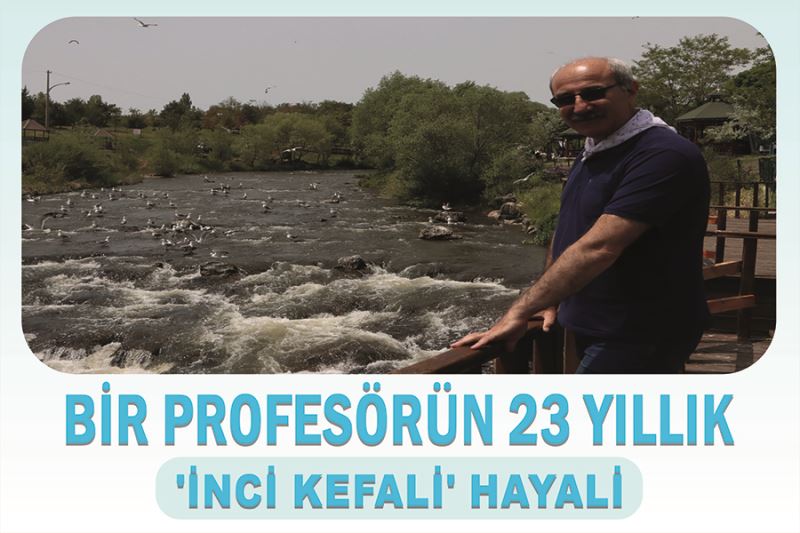 Bir profesörün 23 yıllık 