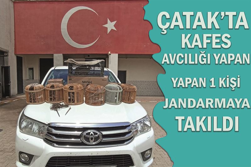 Çatak’ta kafes avcılığı yapan 1 kişi jandarmaya takıldı