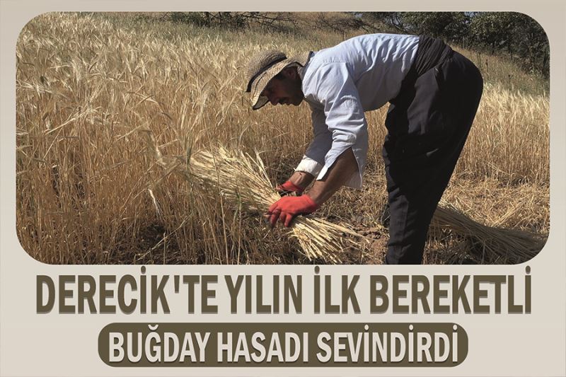 Derecik