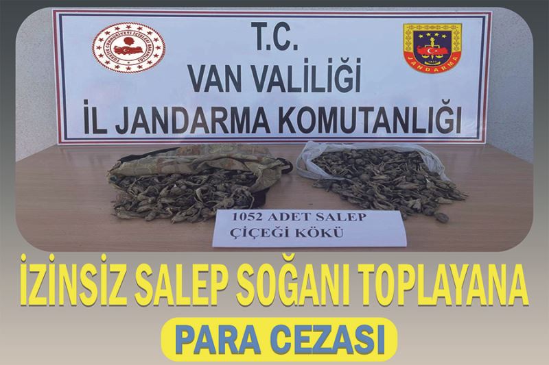 İzinsiz salep soğanı toplayana para cezası