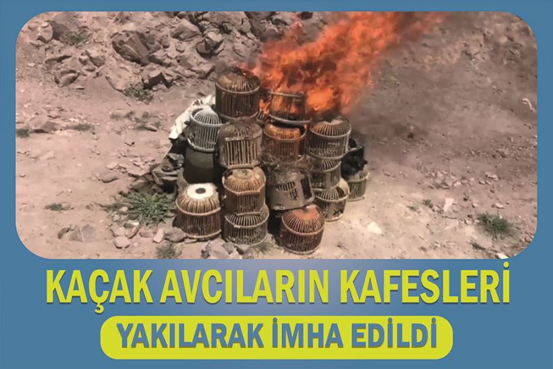 Kaçak avcıların kafesleri yakılarak imha edildi