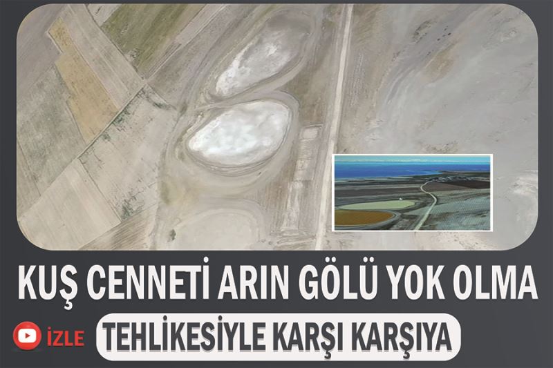 Kuş cenneti Arin Gölü yok olma tehlikesiyle karşı karşıya