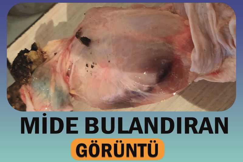 Mide bulandıran görüntü