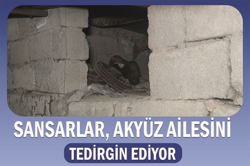 Sansarlar, Akyüz ailesini tedirgin ediyor