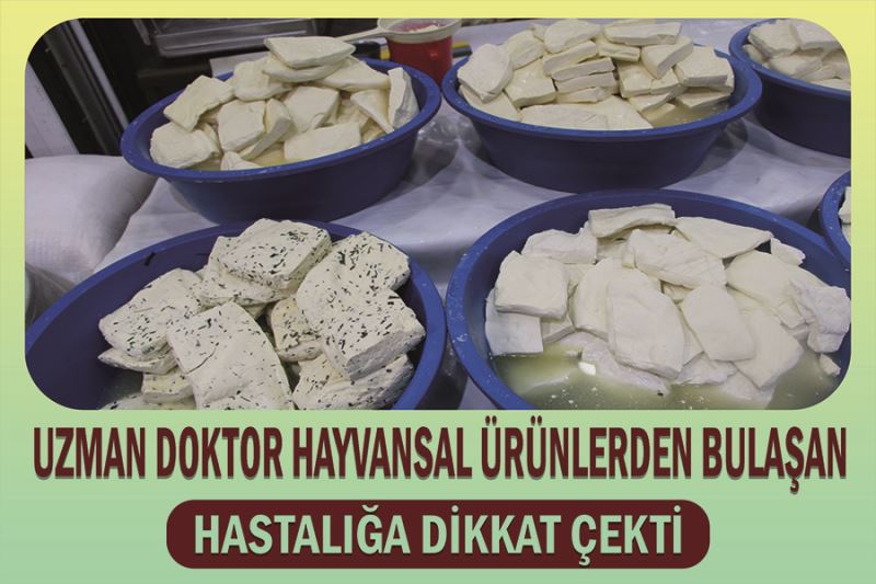 Uzman doktor hayvansal ürünlerden bulaşan hastalığa dikkat çekti