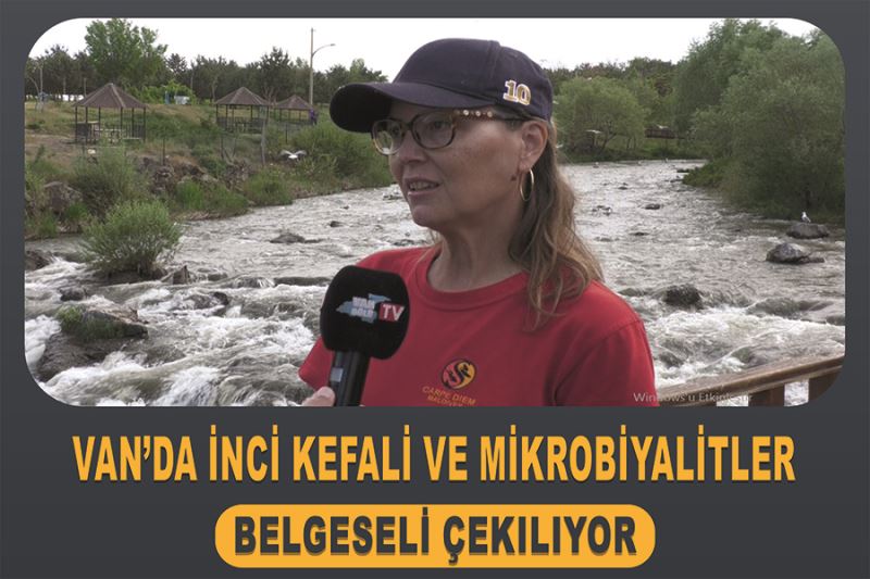 Van’da İnci Kefali ve Mikrobiyalitler belgeseli çekiliyor