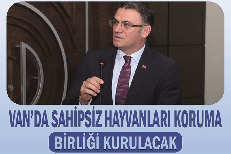 Van’da Sahipsiz Hayvanları Koruma Birliği kurulacak