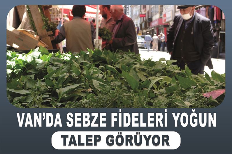 Van’da sebze fideleri yoğun talep görüyor