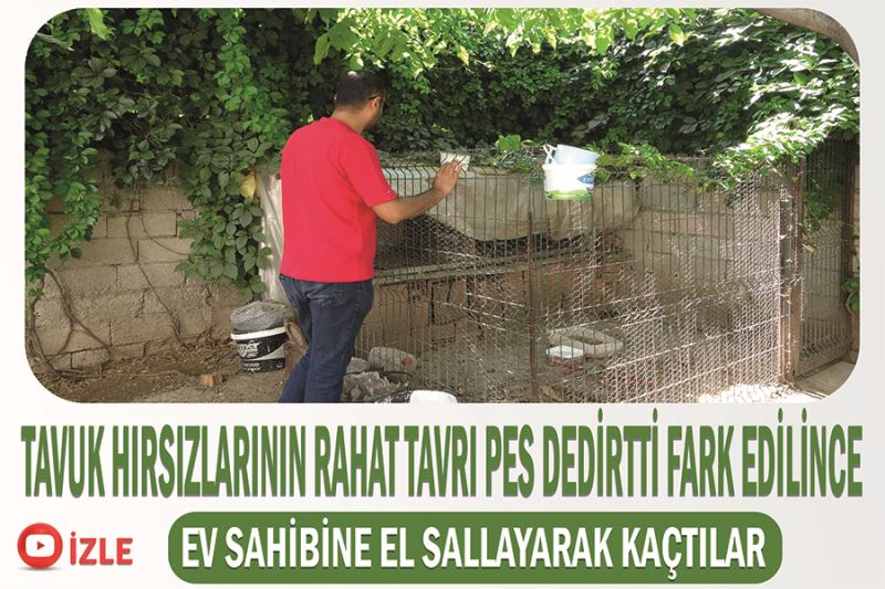 Tavuk hırsızlarının rahat tavrı pes dedirtti fark edilince ev sahibine el sallayarak kaçtılar