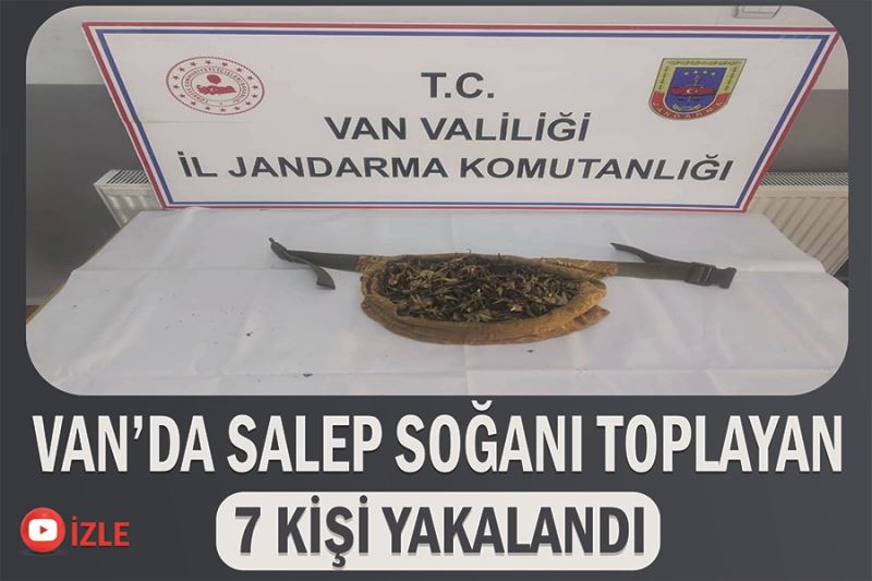 Van’da salep soğanı toplayan 7 kişi yakalandı